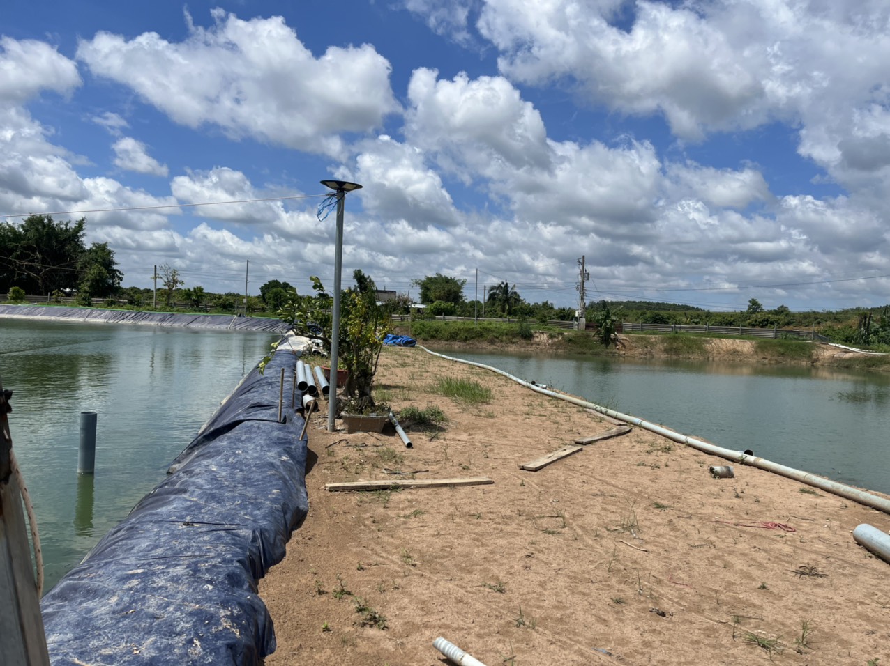 Dự án 1