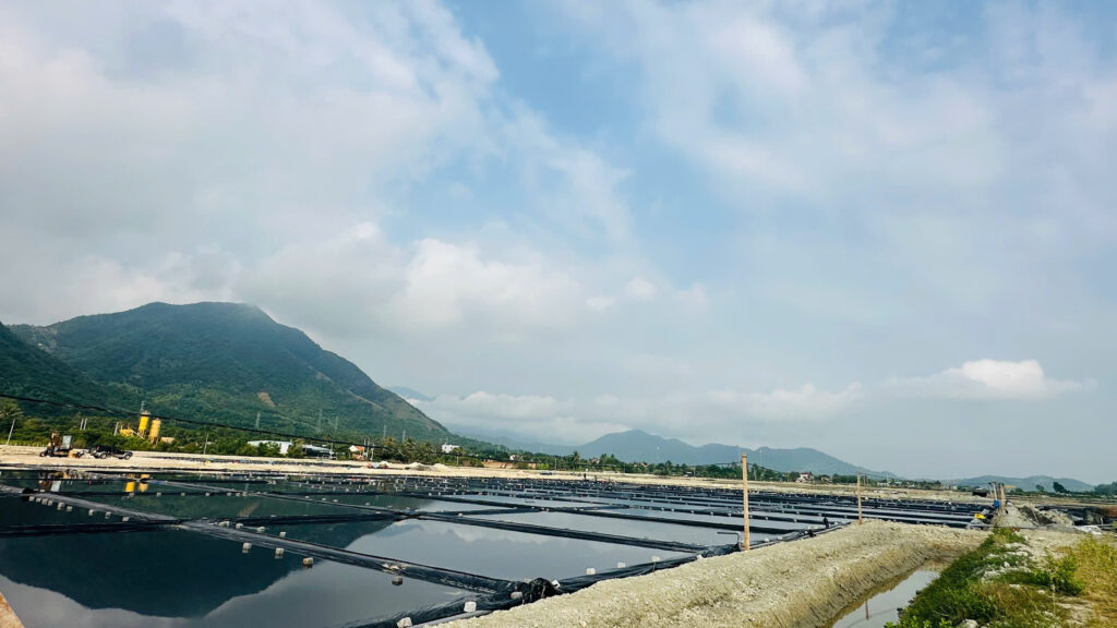 Bạt làm muối bat lam muoi; bat lot ruong muoi; bat gia loi; bat UV10; bat UV9; bat den; bat hpde